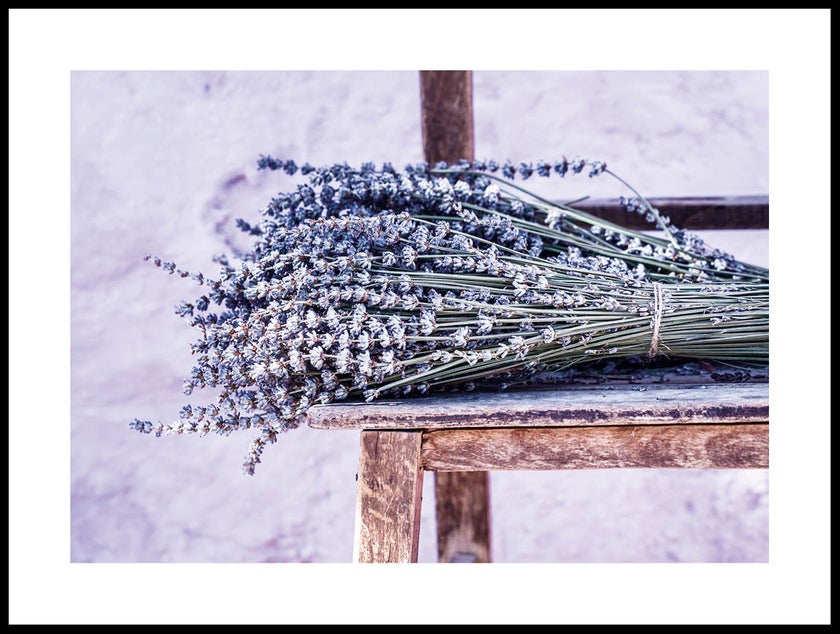 Fields of Lavender